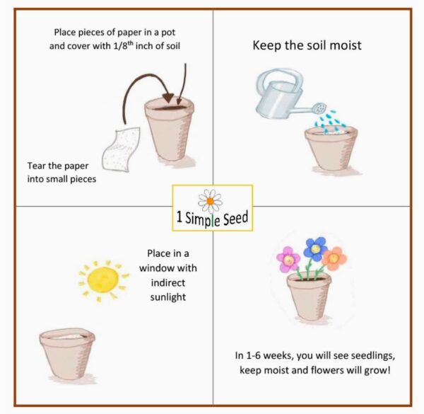 "Plantable" Handmade Cards (CO) - Image 9