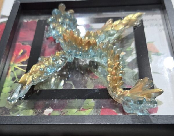Custom Acrylic Companions (MO)